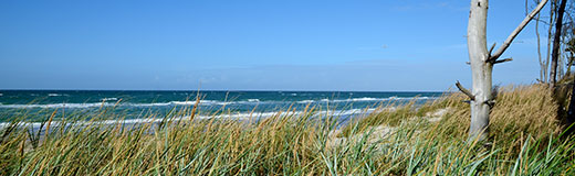 Ferienregion Fischland Darss Zingst