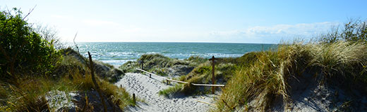 Ferienregion Fischland Darss Zingst